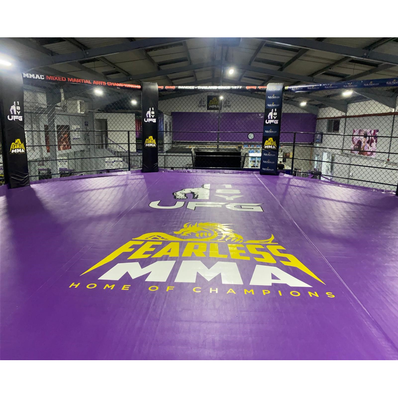 FlexiRoll mats for MMA cage