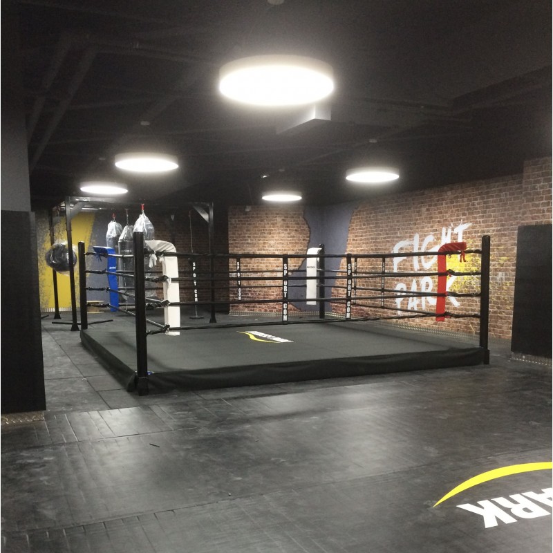 Pro training boxing ring with a 30cm platform | SportCom